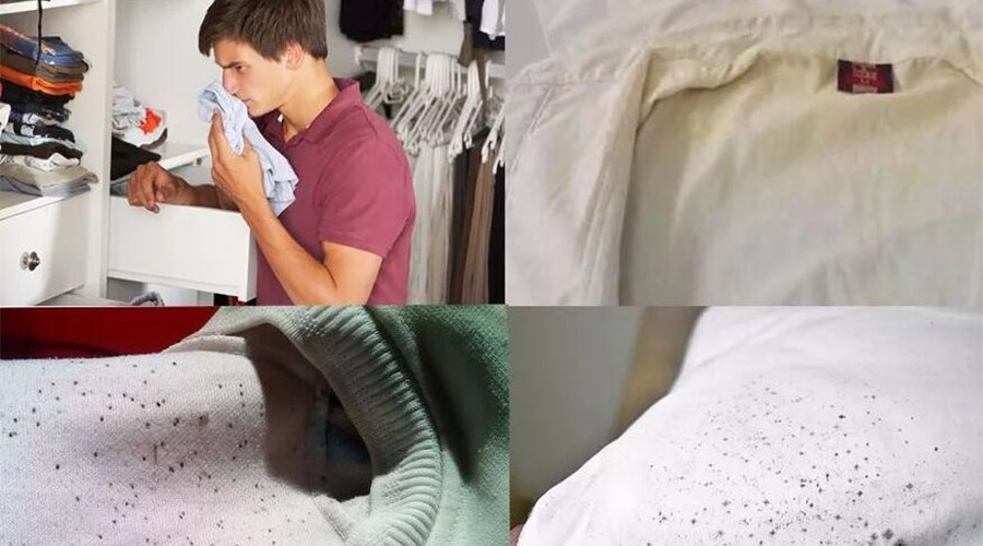 衣服護(hù)理小常識：潮濕天衣物有霉味不宜穿  該怎么辦？
