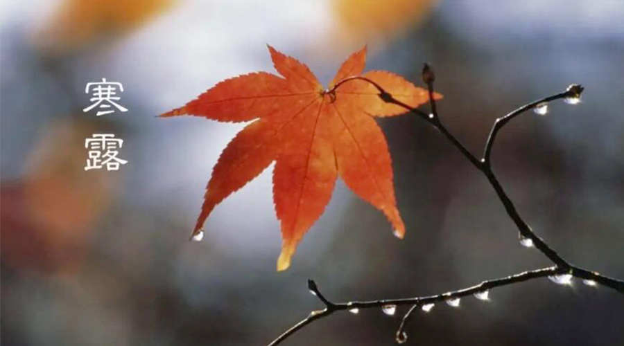 寒露時(shí)節(jié)！金環(huán)電器提醒大家要注意的事項(xiàng)