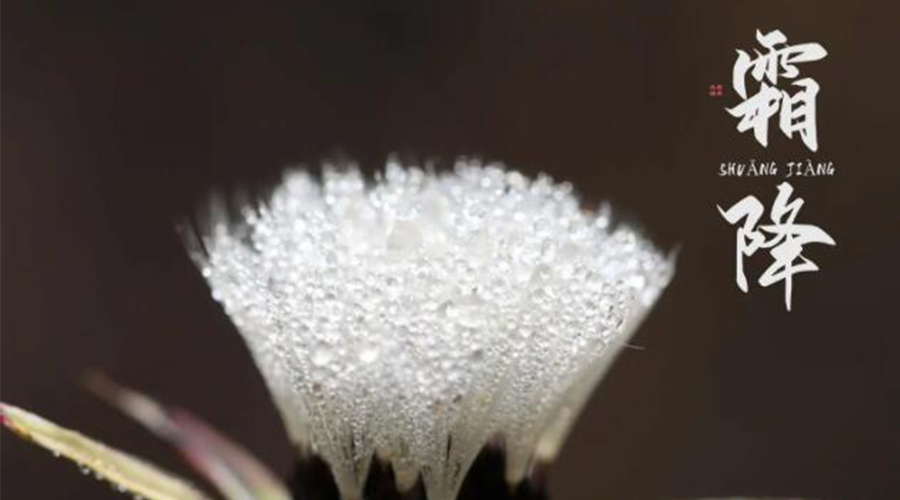 霜降時(shí)節(jié)！金環(huán)電器提醒大家要注意的事項(xiàng)