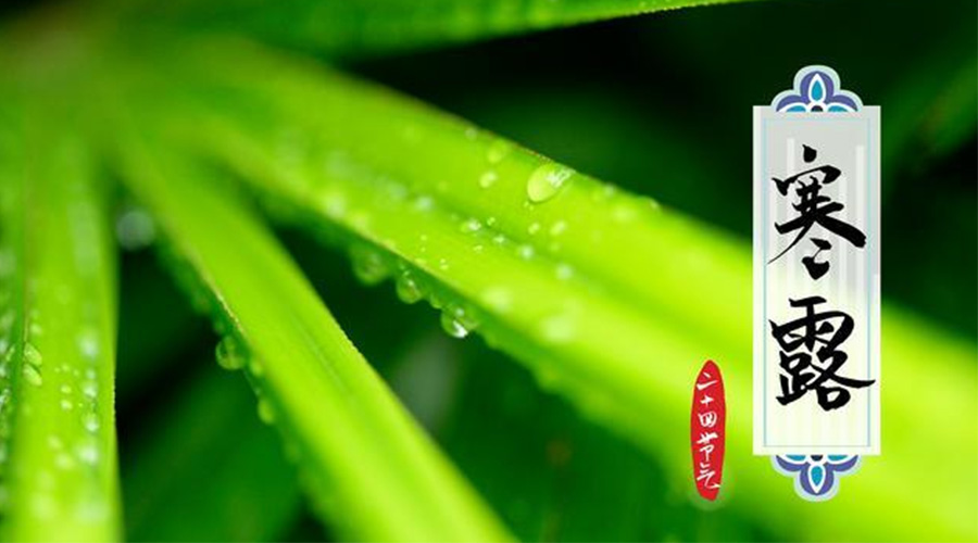 寒露時(shí)節(jié)到！金環(huán)電器提醒這些干衣事項(xiàng)要注意