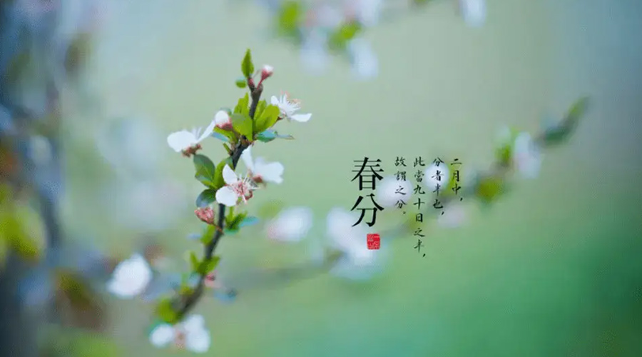 春分雨水多易生菌！金環(huán)電器提醒你衣物要注意處理