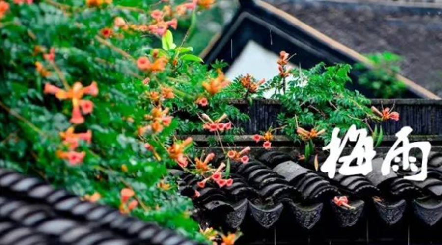 什么是梅雨？梅雨如何形成？  金環(huán)電器告訴你答案